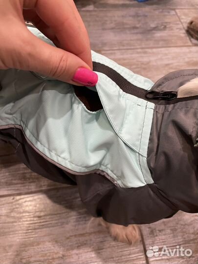 Комбинезон дождевик для собаки