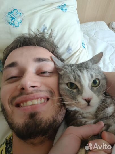 Котоняня кэтситтер