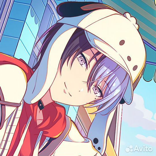 Тойя мерч на дс