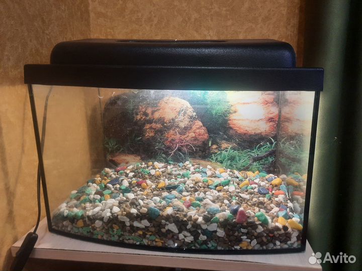 Аквариум