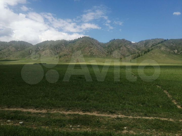 Участок 20,56 га (СНТ, ДНП)