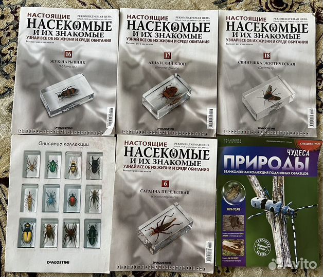 Настрящие насекомые журналы