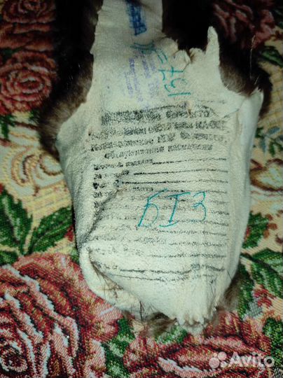 Шкурка животного норка