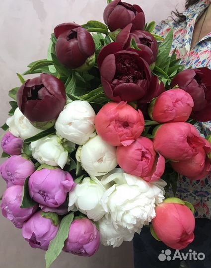 Администратор/помощник флориста в цветочный салон