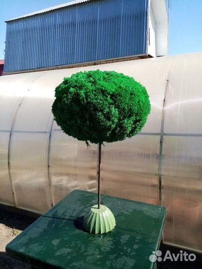 Ландшафные шары