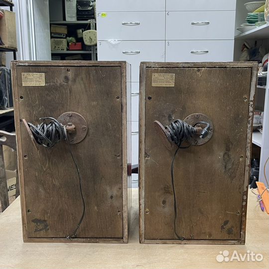 Акустическая система 25ас 109 Колонки Рабочие