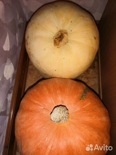 Тыква. Компотная смесь