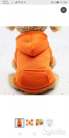 Одежда для собак