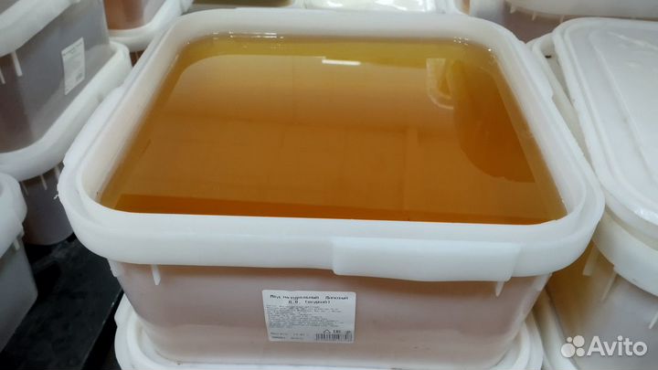 Липовый мед оптом от 15кг