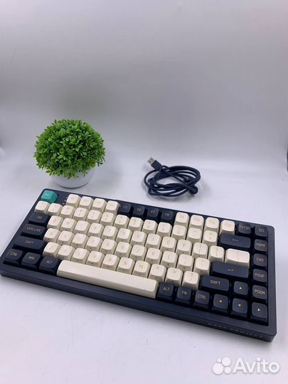 Клавиатура Dark Project KD83A