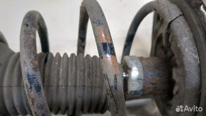 Амортизатор подвески Toyota Verso, 2009