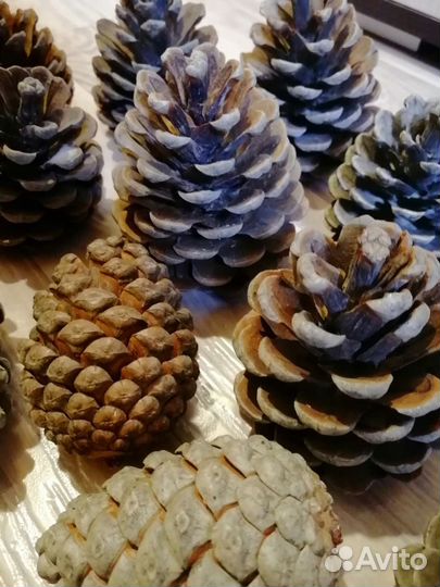 Шишки для поделок