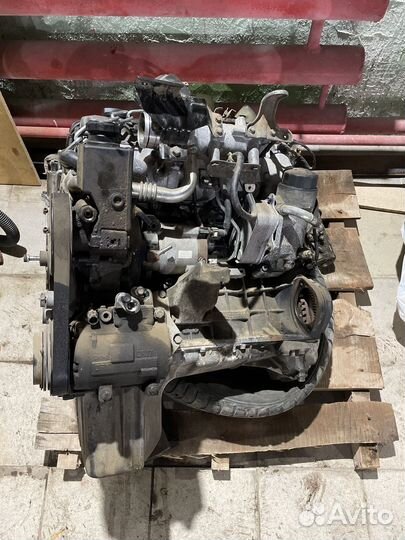 Двигатель d20dt ssangyong