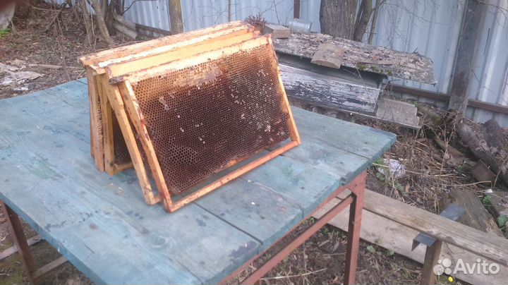 Сушь для пчёл