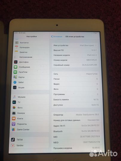 iPad mini2