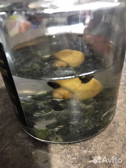 Аквариум для рыбок