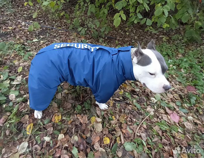 Зимний комбинезон для собак