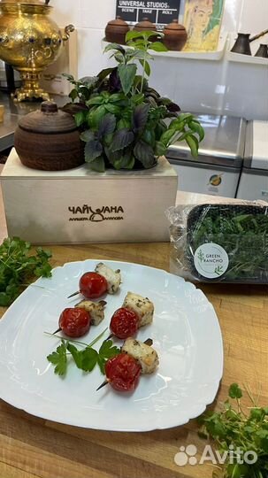 Выездной кейтеринг