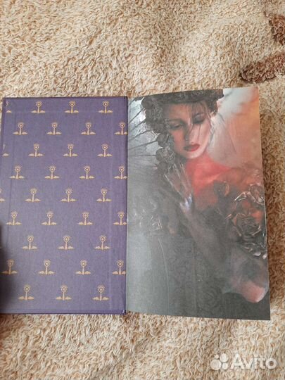 Европейское путешествие Теодора Госс