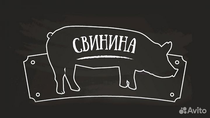 Свинина