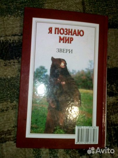 Энциклопедия. Я познаю мир. Звери