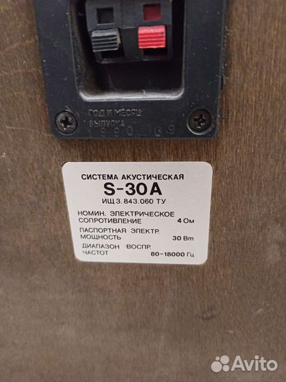 Акустические колонки Radiotehnika S-30A