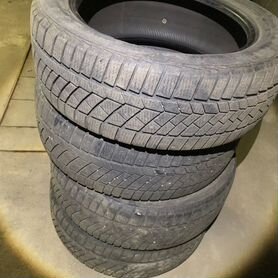 Continental ContiWinterContact TS 830 P 205/55 R17 95H