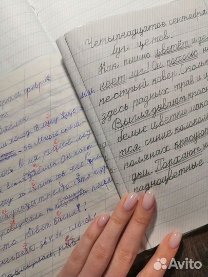 Нейропсихолог. Репетитор начальных классов