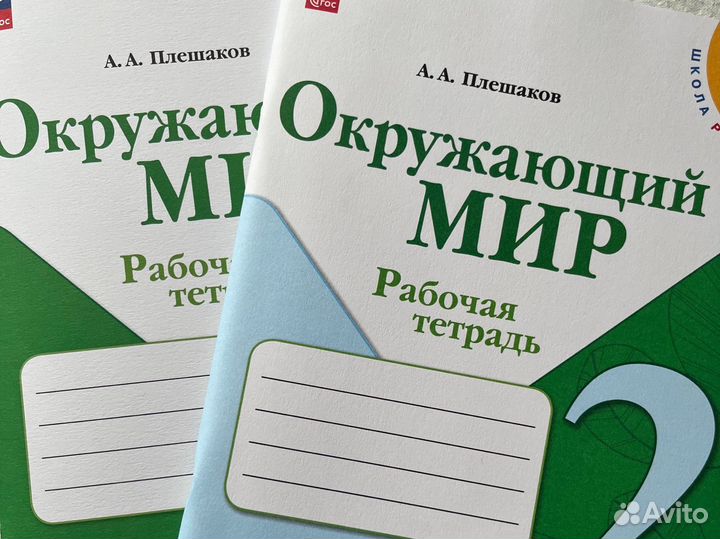 Рабочая тетрадь по окружающему миру 2 класс