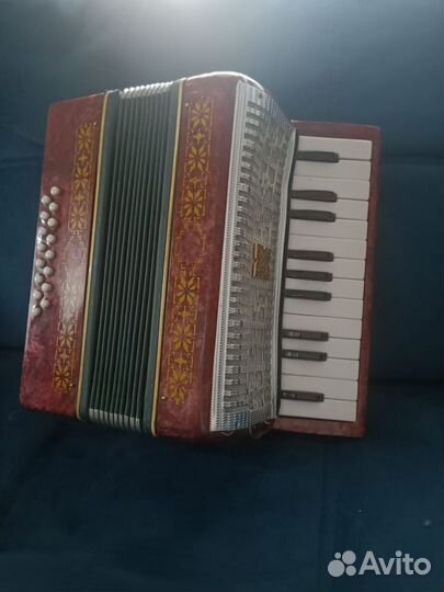 Аккордеон детский