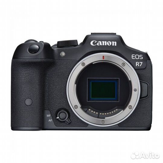Canon EOS R 7 body