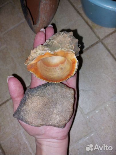 Камни для аквариума