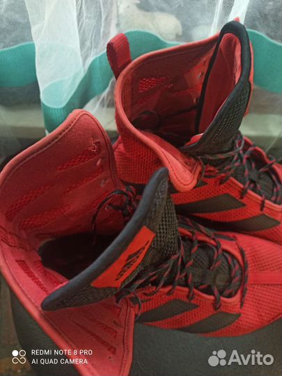 Боксерки adidas box hog 3