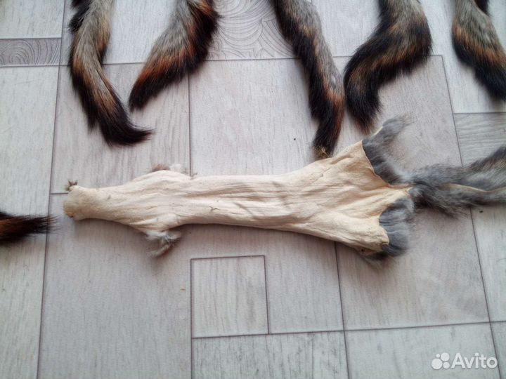 Шкурки белки,фабричной выделки на пошив игрушек
