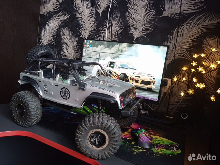 Rc trophy 1/10 Remo Hobby