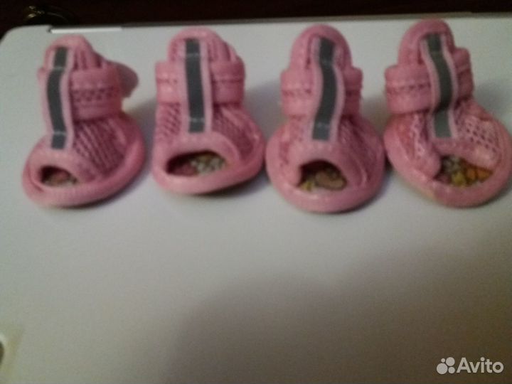 Футболка для собаки новая, сандалии