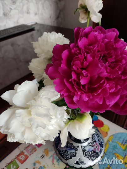 Пион Королевский