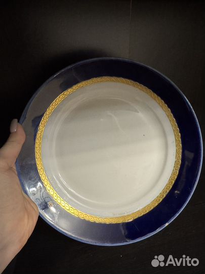 Тарелка столовая Вербилки