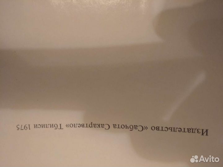 Шота Руставели - Витязь в тигровой шкуре