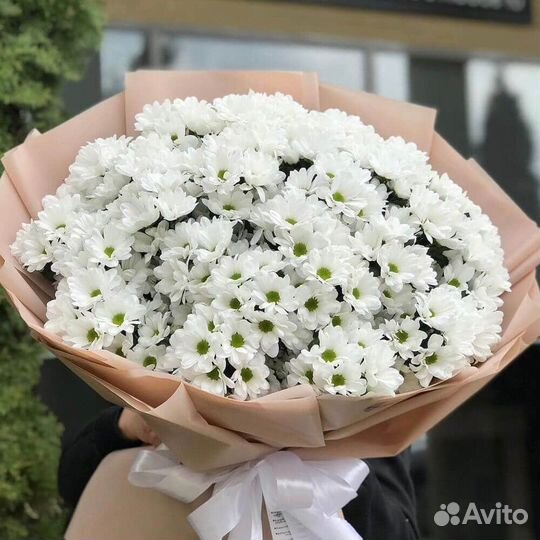 Цветы Букет Хризантем 25 шт Доставка в Иркутске