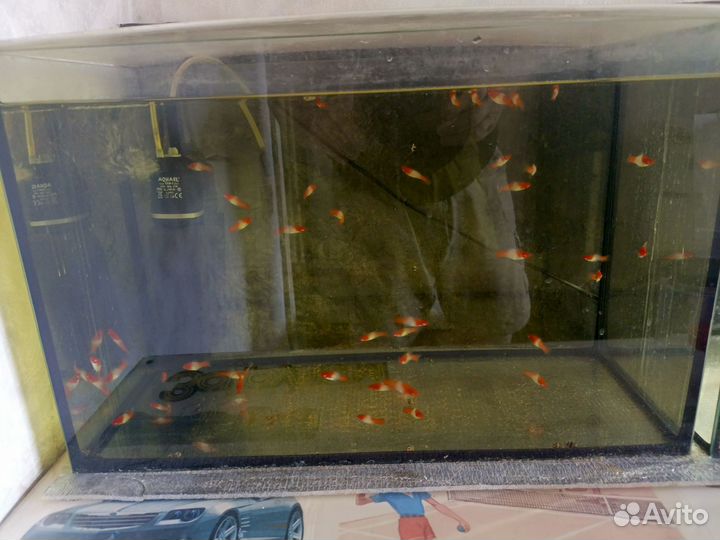 Аквариумы 100 л,35 л,оборудование