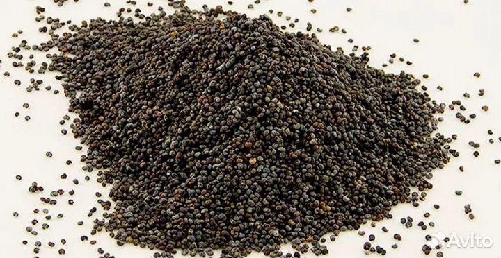 Мак кондитерский