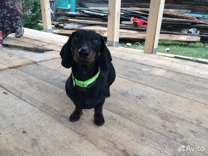 Ищем невесту