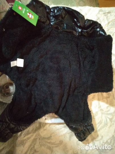 Товары для животных