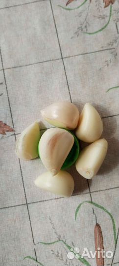 Чеснок на посадку