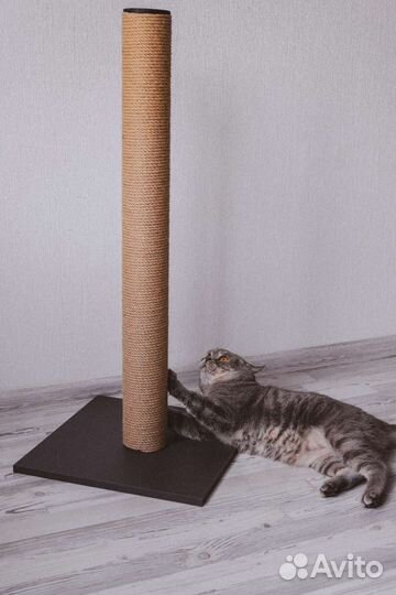 Когтеточка