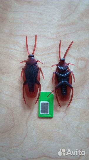 Таракан пластиковый прикол сувенир