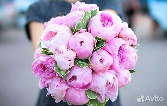 Пионы Цветы Доставка