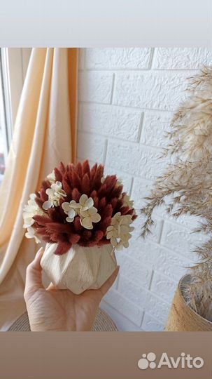Цветы сухоцветы