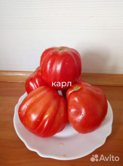 Помидоры, семена